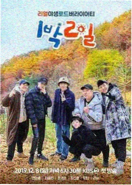 奔跑吧 免费看电影